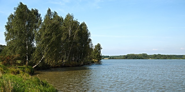 rybník na Třeboňsku